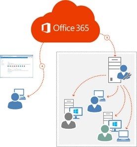 o365-co-distante